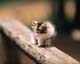 ʐ^fށ@MIXA@2/MIL56060.JPG