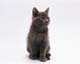 ʐ^fށ@MIXA@2/MIL56062.JPG