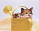 ʐ^fށ@MIXA@2/MIL56064.JPG