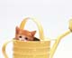 ʐ^fށ@MIXA@2/MIL56065.JPG