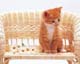 ʐ^fށ@MIXA@2/MIL56067.JPG