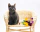 ʐ^fށ@MIXA@2/MIL56068.JPG