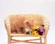 ʐ^fށ@MIXA@2/MIL56069.JPG