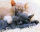 ʐ^fށ@MIXA@2/MIL56072.JPG