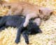 ʐ^fށ@MIXA@2/MIL56073.JPG