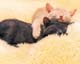 ʐ^fށ@MIXA@2/MIL56075.JPG