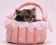 ʐ^fށ@MIXA@2/MIL56079.JPG