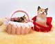 ʐ^fށ@MIXA@2/MIL56081.JPG
