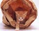 ʐ^fށ@MIXA@2/MIL56082.JPG
