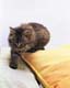ʐ^fށ@MIXA@2/MIL56085.JPG