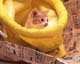 ʐ^fށ@MIXA@2/MIL56092.JPG
