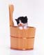 ʐ^fށ@MIXA@2/MIL56094.JPG