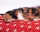 ʐ^fށ@MIXA@2/MIL56100.JPG
