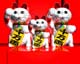 ʐ^fށ@MIXA@2/MIL58049.JPG
