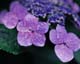 ʐ^fށ@MIXA@2/MIL60064.JPG