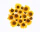 ʐ^fށ@MIXA@2/MIL65072.JPG