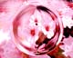 ʐ^fށ@MIXA@2/MIL73094.JPG