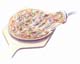 ʐ^fށ@MIXA@2/MIL84015.JPG