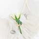 ʐ^fށ@MIXA@2/MIL87088.JPG