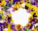 ʐ^fށ@MIXA@2/MIL89012.JPG
