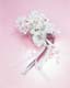 ʐ^fށ@MIXA@2/MIL97060.JPG