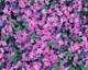 ʐ^fށ@MIXA@2/MIX14007.JPG