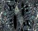 ʐ^fށ@MIXA@2/MIX18072.JPG