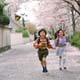 ʐ^fށ@MIXA@2/MIX03011.JPG