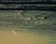 ʐ^fށ@MIXA@2/MIX08042.JPG