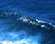 ʐ^fށ@MIXA@2/MIX08046.JPG
