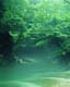 ʐ^fށ@MIXA@2/MIX15047.JPG