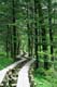 ʐ^fށ@MIXA@2/MIX15060.JPG