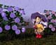 ʐ^fށ@MIXA@2/MIX30037.JPG