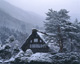 ʐ^fށ@MIXA@2/MIX35054.JPG