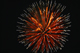 ʐ^fށ@MIXA@2/MIX37005.JPG