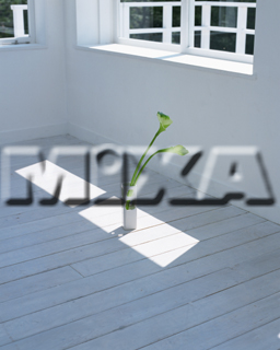 MIXA IMAGE LIBRARY vol.149 %%p^Cg%% Âȕ
