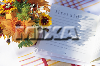 MIXA IMAGE LIBRARY vol.154 %%p^Cg%% 
