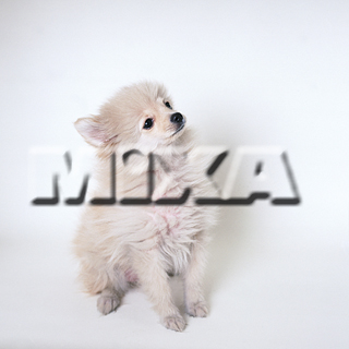 MIXA IMAGE LIBRARY vol.155 %%p^Cg%% cnfr