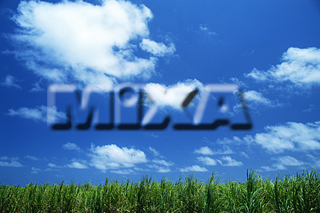 MIXA IMAGE LIBRARY vol.157 %%p^Cg%% nC̋x