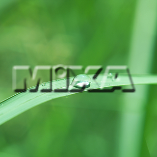 MIXA IMAGE LIBRARY vol.159 %%p^Cg%% tbVEO[