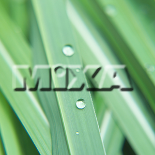 MIXA IMAGE LIBRARY vol.159 %%p^Cg%% tbVEO[