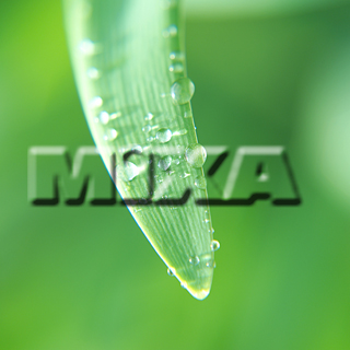 MIXA IMAGE LIBRARY vol.159 %%p^Cg%% tbVEO[