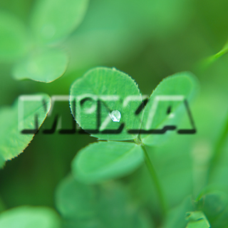 MIXA IMAGE LIBRARY vol.159 %%p^Cg%% tbVEO[