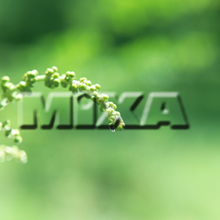 MIXA IMAGE LIBRARY vol.159 %%p^Cg%% tbVEO[