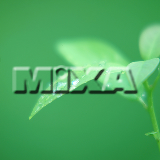 MIXA IMAGE LIBRARY vol.159 %%p^Cg%% tbVEO[