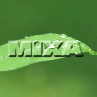 MIXA IMAGE LIBRARY vol.159 %%p^Cg%% tbVEO[