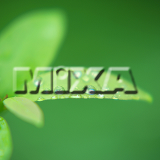 MIXA IMAGE LIBRARY vol.159 %%p^Cg%% tbVEO[