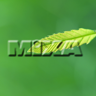 MIXA IMAGE LIBRARY vol.159 %%p^Cg%% tbVEO[