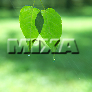 MIXA IMAGE LIBRARY vol.159 %%p^Cg%% tbVEO[