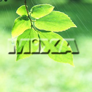 MIXA IMAGE LIBRARY vol.159 %%p^Cg%% tbVEO[